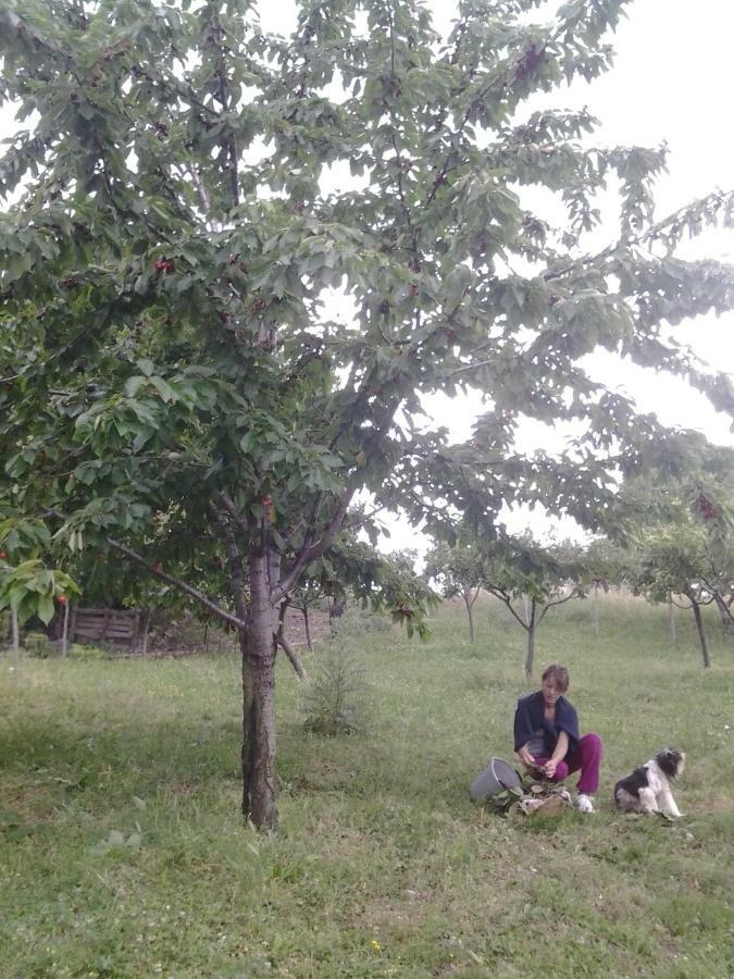 Agriturismo Persichitti Torricella Peligna Eksteriør bilde